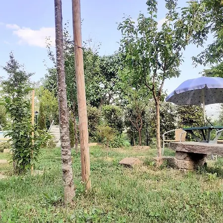 La Torretta Di Barbarolo *