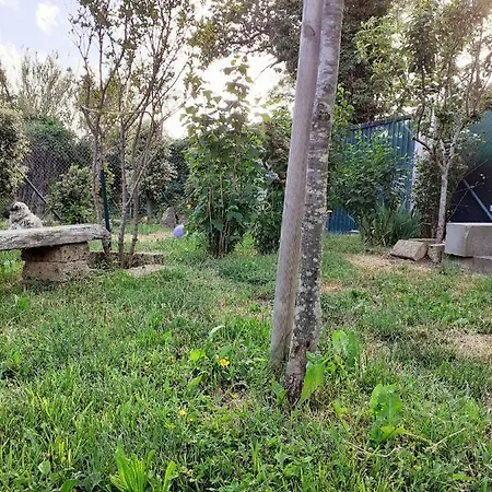 Bed & Breakfast La Torretta Di Barbarolo