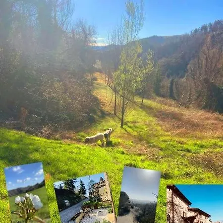 Bed & Breakfast La Torretta Di Barbarolo Sabbioni