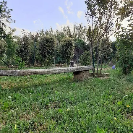 La Torretta Di Barbarolo Bed & Breakfast